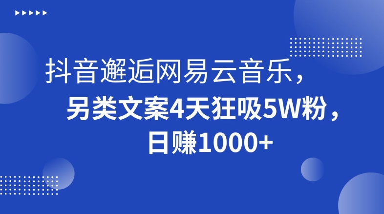 抖音邂逅网易云音乐，另类文案4天狂吸5W粉，日赚1000+【揭秘】-久久资源库