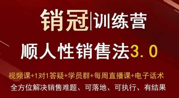 爆款！销冠训练营3.0之顺人性销售法，全方位解决销售难题、可落地、可执行、有结果-久久资源库