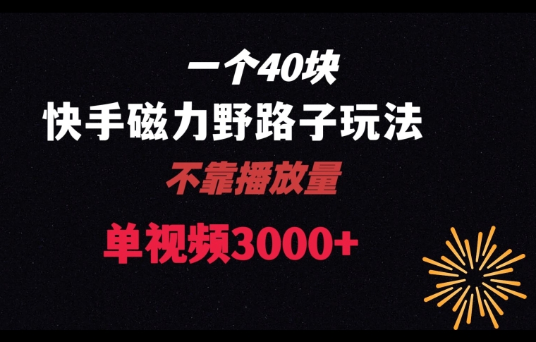 一个40块，快手联合美团磁力新玩法，无视机制野路子玩法，单视频收益4位数【揭秘】-久久资源库