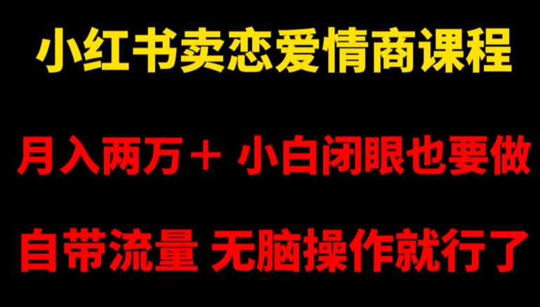 小红书卖恋爱情商课程，月入两万＋，小白闭眼也要做，自带流量，无脑操作就行了【揭秘】-久久资源库