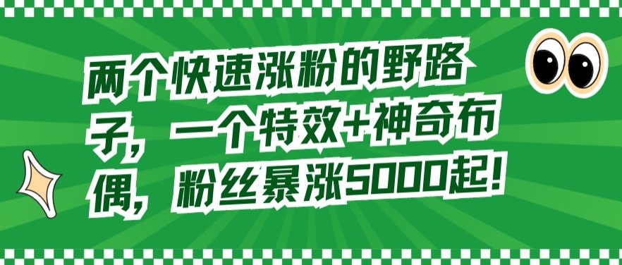 两个快速涨粉的野路子，一个特效+神奇布偶，粉丝暴涨5000起【揭秘】-久久资源库