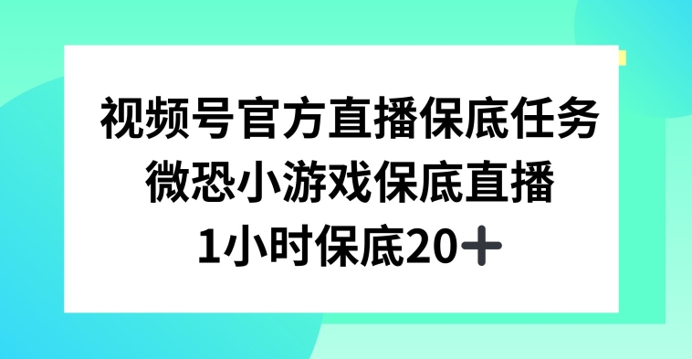 视频号直播任务，微恐小游戏，1小时20+【揭秘】-久久资源库