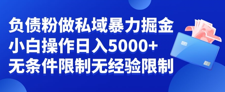 负债粉私域暴力掘金，小白操作入5000，无经验限制，无条件限制【揭秘】-久久资源库