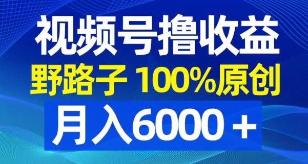 视频号野路子撸收益，100%原创，条条爆款，月入6000＋【揭秘】-久久资源库
