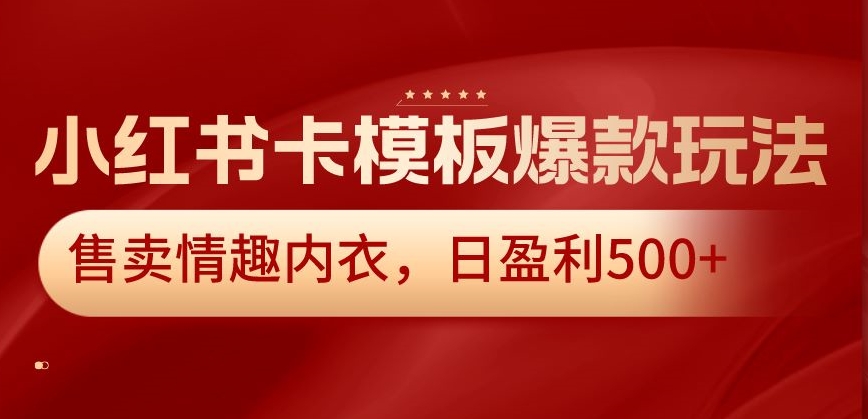 小红书卡模板爆款玩法，售卖情趣内衣，日盈利500+【揭秘】-久久资源库