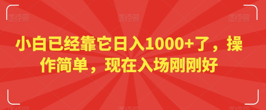 小白已经靠它日入1000+了，操作简单，现在入场刚刚好【揭秘】-久久资源库