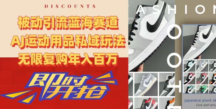 被动引流蓝海赛道，AJ运动用品私域玩法，无限复购年入百万【揭秘】-久久资源库