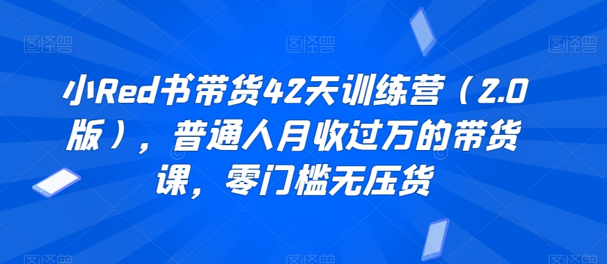 小Red书带货42天训练营（2.0版），普通人月收过万的带货课，零门槛无压货-久久资源库