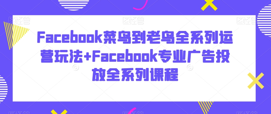 Facebook菜鸟到老鸟全系列运营玩法+Facebook专业广告投放全系列课程-久久资源库