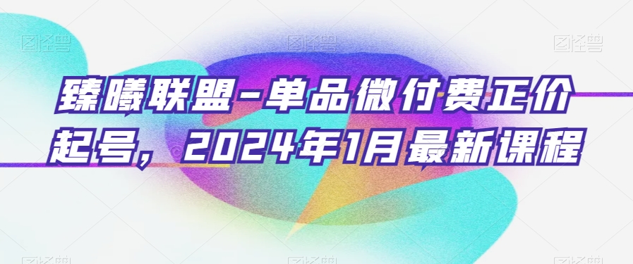 臻曦联盟-单品微付费正价起号，2024年1月最新课程-久久资源库