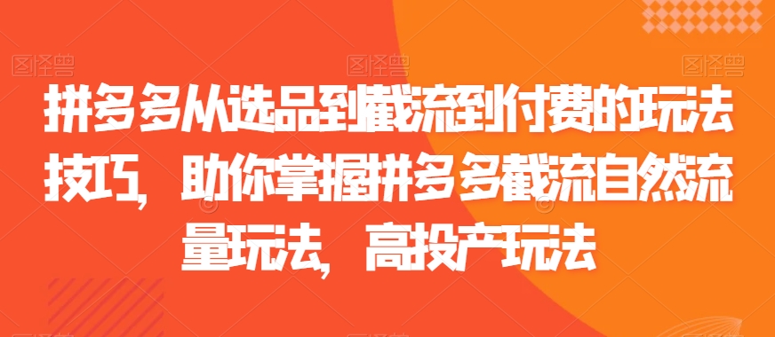 拼多多从选品到截流到付费的玩法技巧，助你掌握拼多多截流自然流量玩法，高投产玩法-久久资源库
