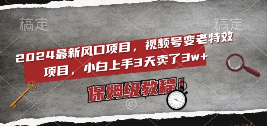 2024最新风口项目，视频号变老特效项目，电脑小白上手3天卖了3w+，保姆级教程【揭秘】-久久资源库