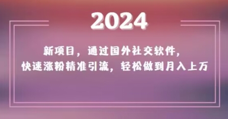 2024新项目，通过国外社交软件，快速涨粉精准引流，轻松做到月入上万【揭秘】-久久资源库