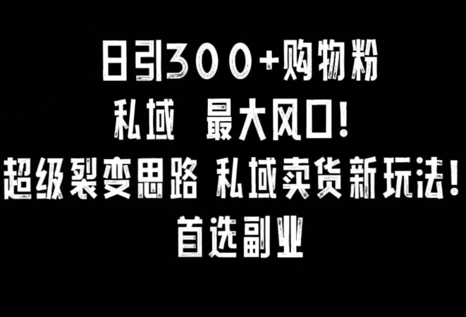 日引300+购物粉，超级裂变思路，私域卖货新玩法，小红书首选副业【揭秘】-久久资源库