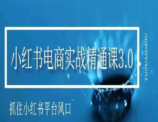 小红书电商实战精通课3.0，抓住小红书平台的风口，不错过有一个赚钱的机会-久久资源库
