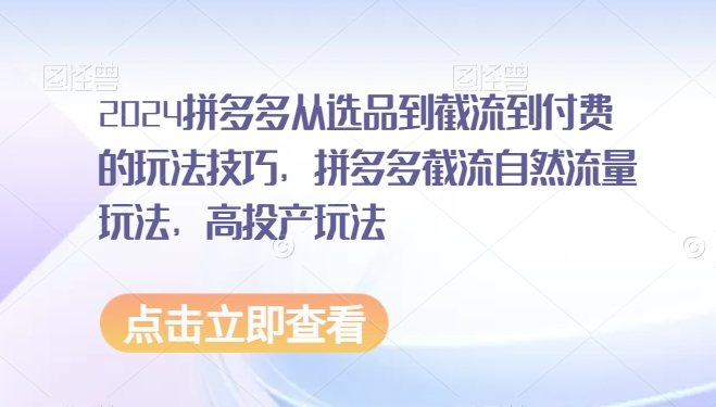 2024拼多多从选品到截流到付费的玩法技巧，拼多多截流自然流量玩法，高投产玩法-久久资源库