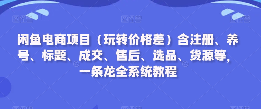 闲鱼电商项目（玩转价格差）含注册、养号、标题、成交、售后、选品、货源等，一条龙全系统教程-久久资源库