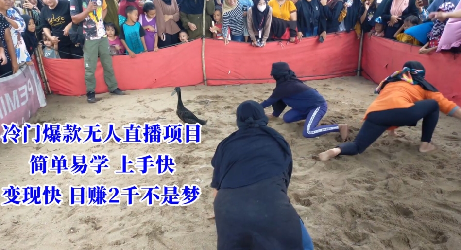 冷门爆款无人直播项目，简单易学上手快，变现快日赚2千不是梦【揭秘】-久久资源库