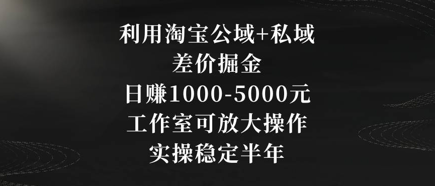 利用淘宝公域+私域差价掘金，日赚1000-5000元，工作室可放大操作，实操稳定半年【揭秘】-久久资源库