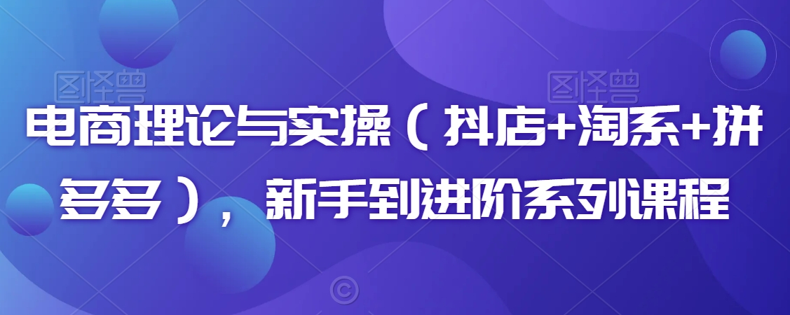 电商理论与实操（抖店+淘系+拼多多），新手到进阶系列课程-久久资源库