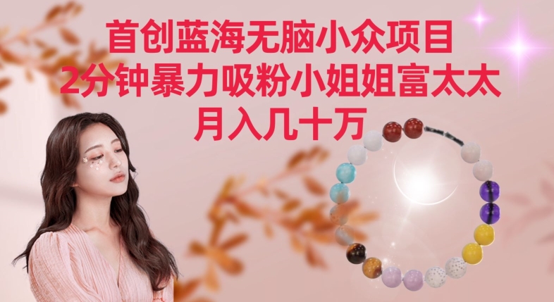 首创蓝海无脑小众项目，2分钟暴力吸粉小姐姐富太太，月入几十万【揭秘】-久久资源库