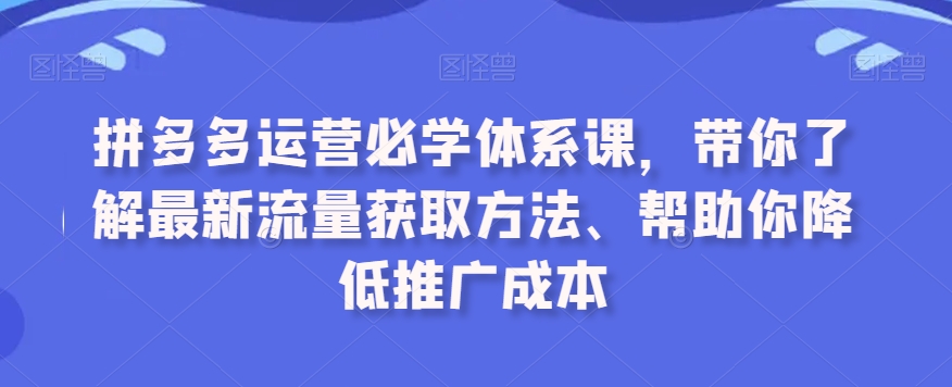 拼多多运营必学体系课，带你了解最新流量获取方法、帮助你降低推广成本-久久资源库