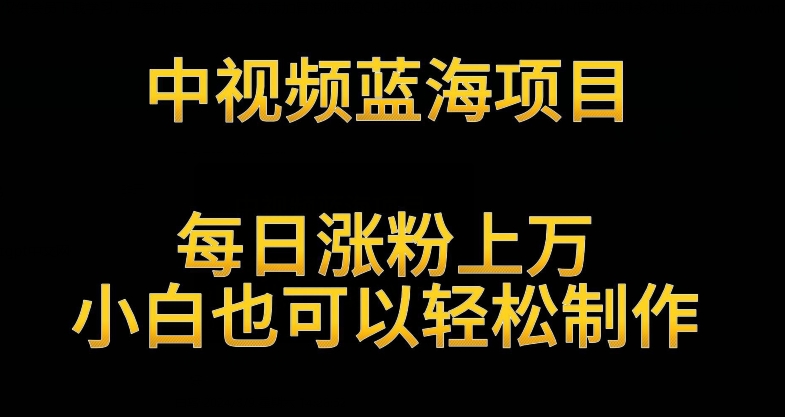 中视频蓝海项目，解读英雄人物生平，每日涨粉上万，小白也可以轻松制作，月入过万不是梦【揭秘】-久久资源库