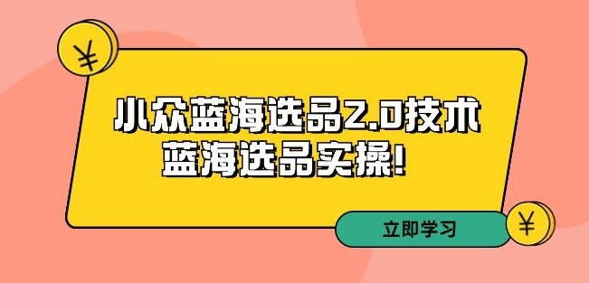 拼多多培训第33期：小众蓝海选品2.0技术-蓝海选品实操！-久久资源库