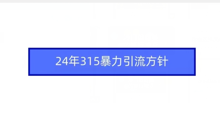 24年315暴力引流方针-久久资源库