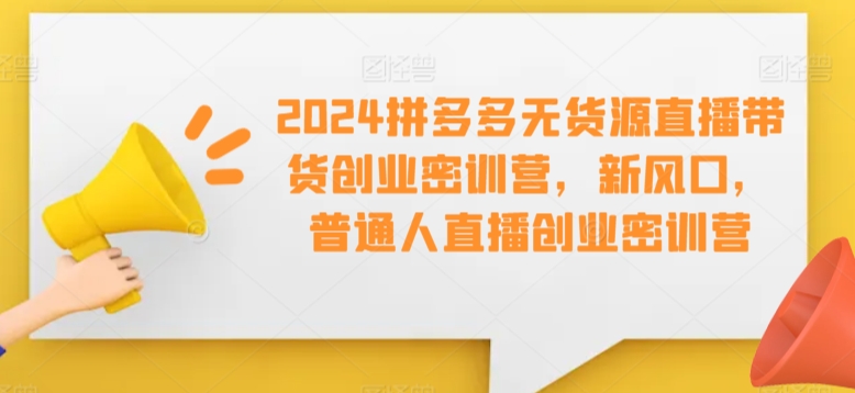 2024拼多多无货源直播带货创业密训营，新风口，普通人直播创业密训营-久久资源库