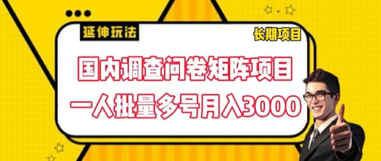 国内调查问卷矩阵项目，一人批量多号月入3000【揭秘】-久久资源库