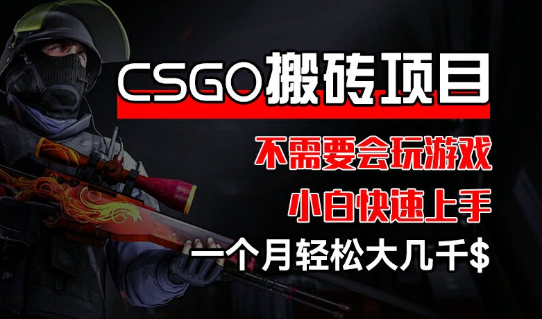 CSGO 装备搬砖项目，操作简单，不需要会玩游戏，小白也能快速上手，一个月轻松大几千【揭秘】-久久资源库