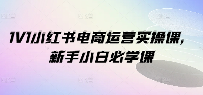 1V1小红书电商运营实操课，新手小白必学课-久久资源库