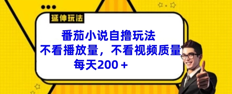 番茄小说自撸玩法，不看播放量，不看视频质量，每天200+【揭秘】-久久资源库