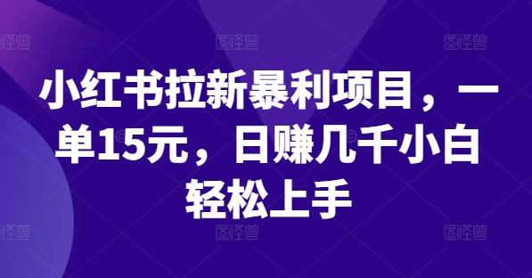 小红书拉新暴利项目，一单15元，日赚几千小白轻松上手【揭秘】-久久资源库