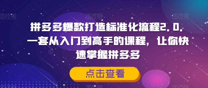 拼多多爆款打造标准化流程2.0，一套从入门到高手的课程，让你快速掌握拼多多-久久资源库