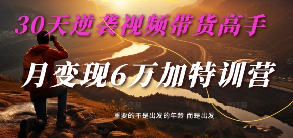 30天逆袭视频带货高手，单月变现6万加特训营-麦子甜-久久资源库