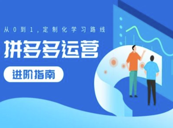 拼多多运营进阶指南，从0到1定制化学习路线-久久资源库
