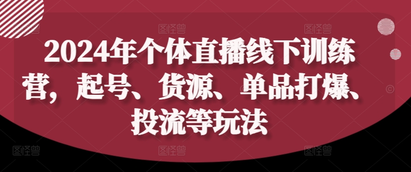 2024年个体直播训练营，起号、货源、单品打爆、投流等玩法-久久资源库