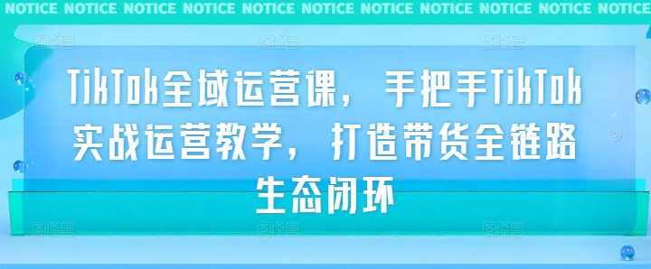 TikTok全域运营课，手把手TikTok实战运营教学，打造带货全链路生态闭环-久久资源库