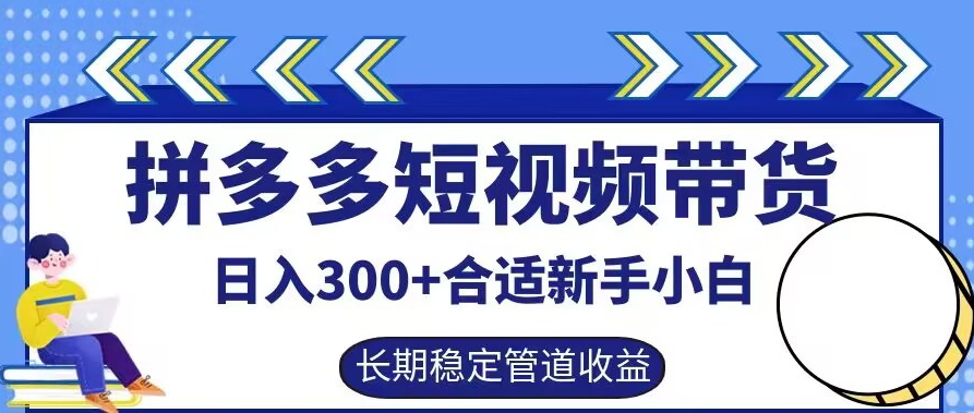 拼多多短视频带货日入300+有长期稳定被动收益，合适新手小白【揭秘】-久久资源库