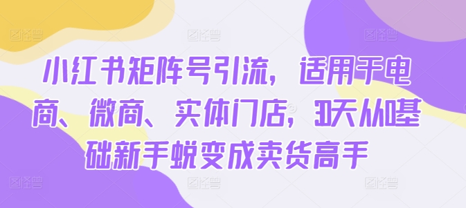 小红书矩阵号引流，适用于电商、微商、实体门店，30天从0基础新手蜕变成卖货高手-久久资源库