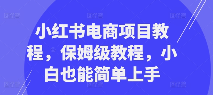 小红书电商项目教程，保姆级教程，小白也能简单上手-久久资源库