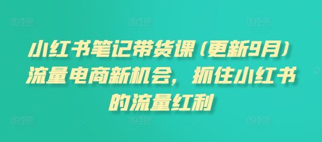小红书笔记带货课(更新12月)流量电商新机会，抓住小红书的流量红利-久久资源库