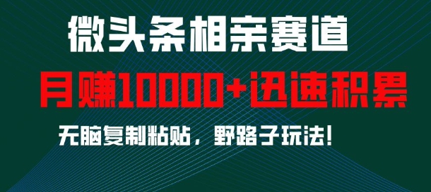 微头条相亲赛道，迅速积累，无脑复制粘贴，野路子玩法，月入1w-久久资源库