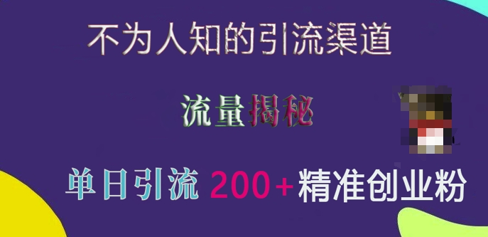 不为人知的引流渠道，流量揭秘，实测单日引流200+精准创业粉【揭秘】-久久资源库