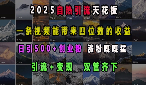 2025自热引流天花板，一条视频能带来四位数的收益，引流+变现双管齐下，日引500+创业粉，涨粉嘎嘎猛-久久资源库
