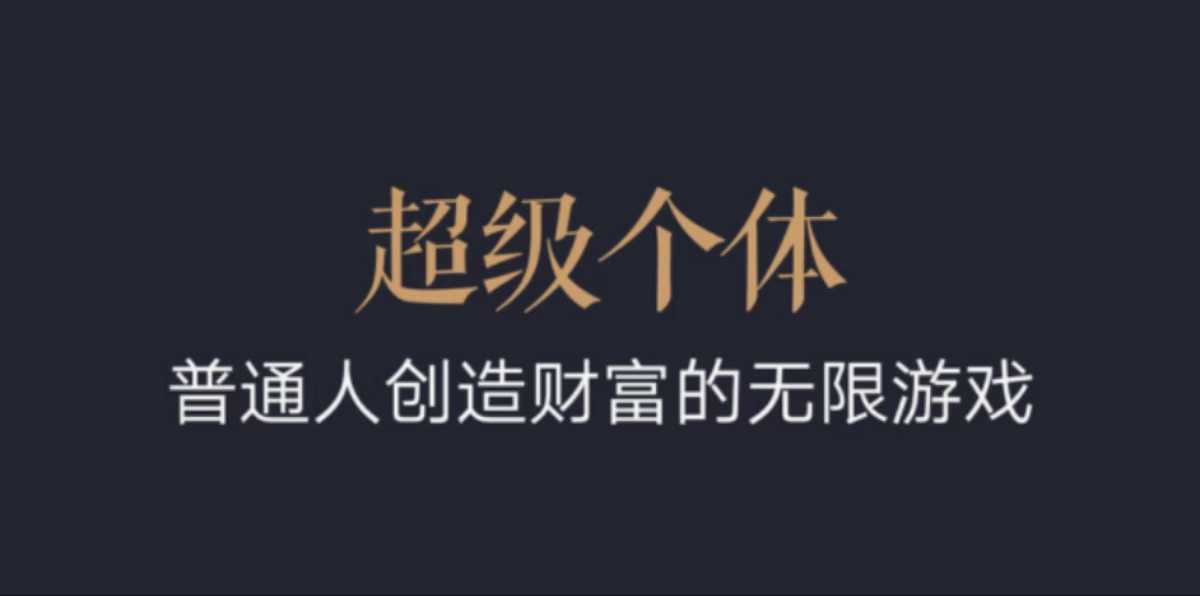 超级个体：2024-2025翻盘指南，普通人创造财富的无限游戏-久久资源库