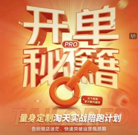 淘宝开单秘籍PRO，量身定制淘天实战陪跑计划，告别做店迷茫、快速突破运营瓶颈期-久久资源库