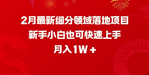 2月最新细分领域落地项目，新手小白也可快速上手，月入1W-久久资源库